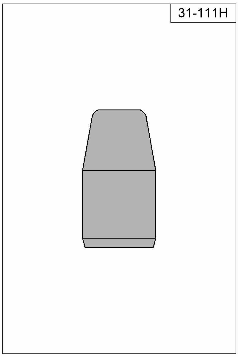 Filled view of bullet 31-111H