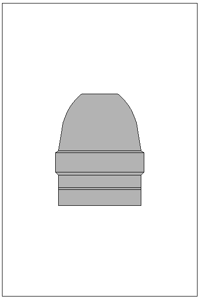 Filled view of bullet 45-200BG
