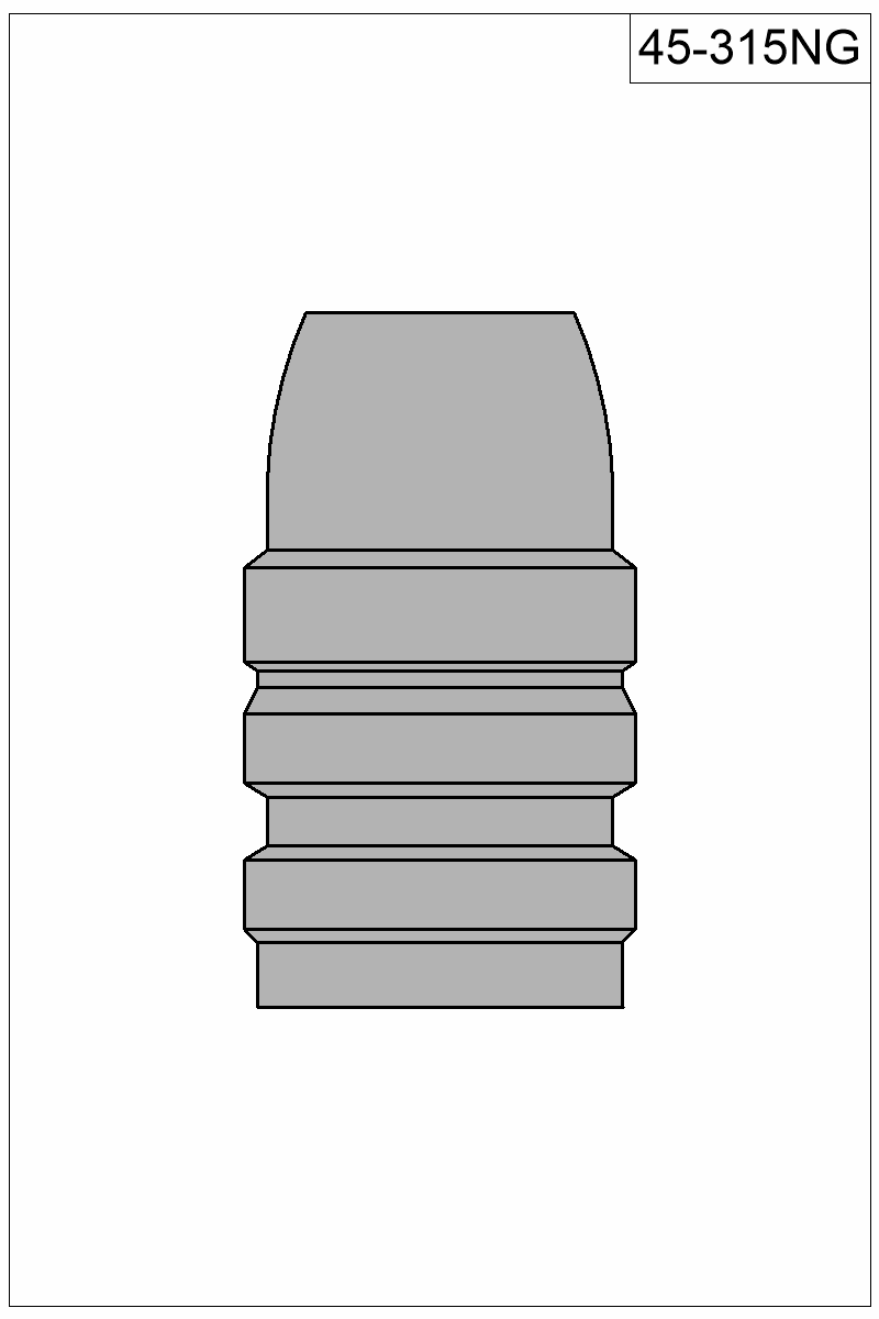 Filled view of bullet 45-315NG