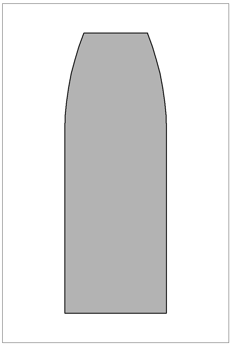 Filled view of bullet 45-500N