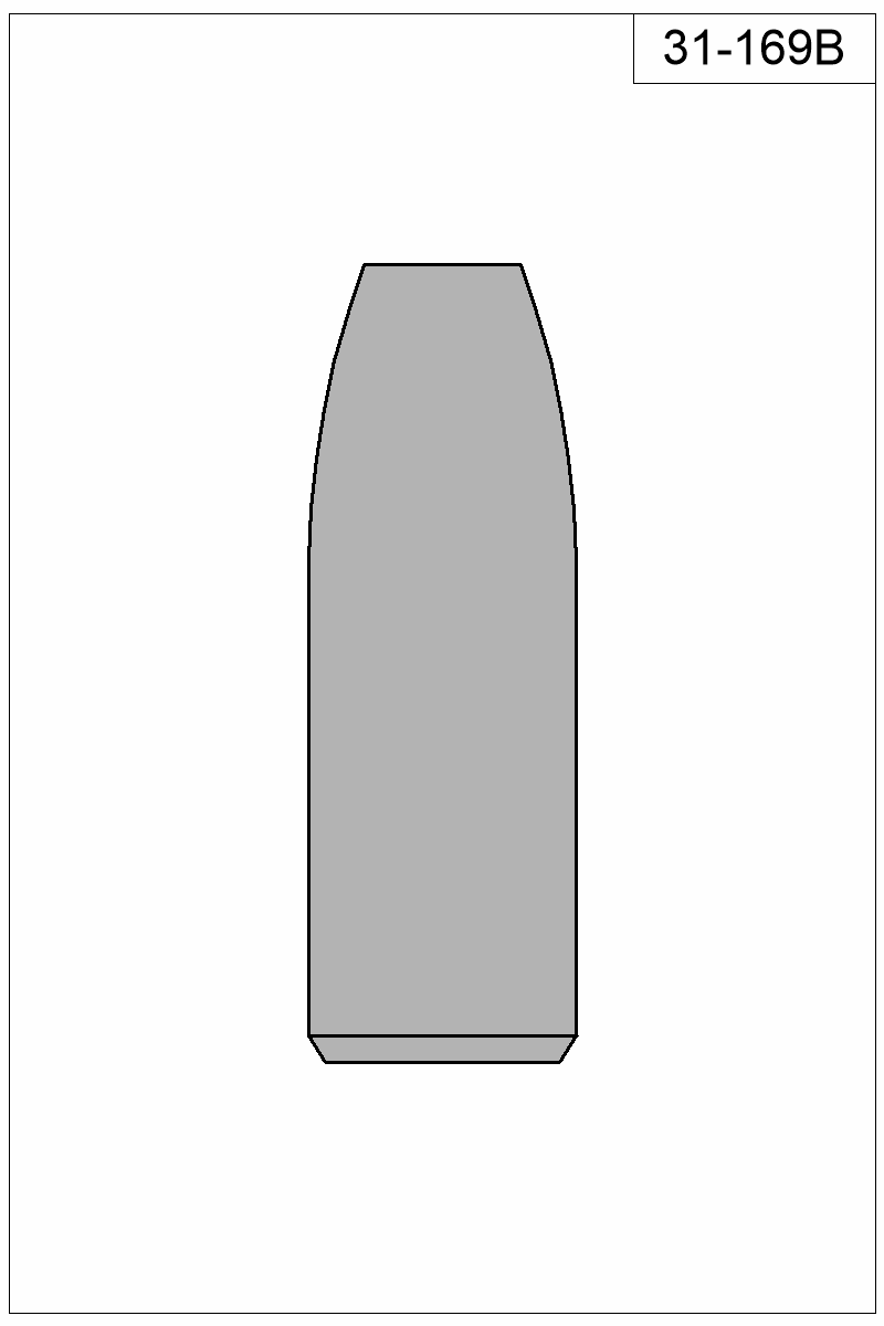 Filled view of bullet 31-169B