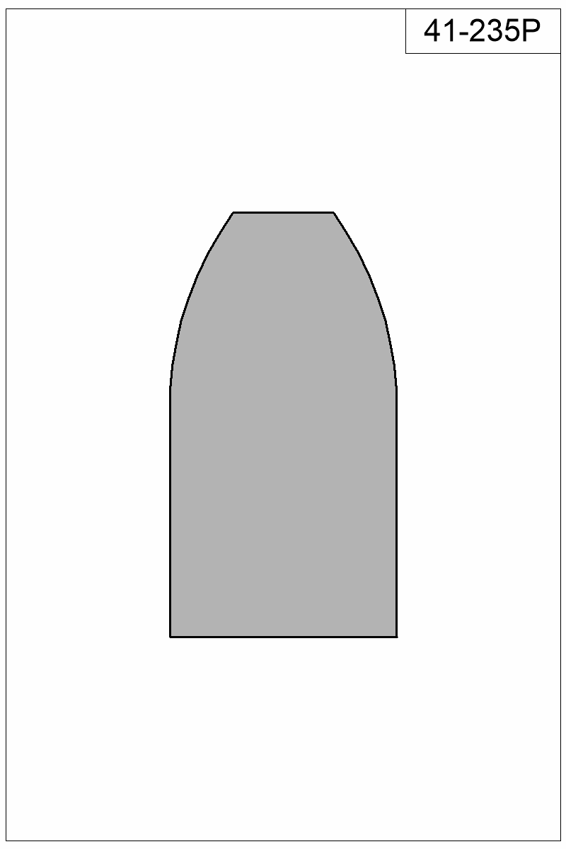 Filled view of bullet 41-235P