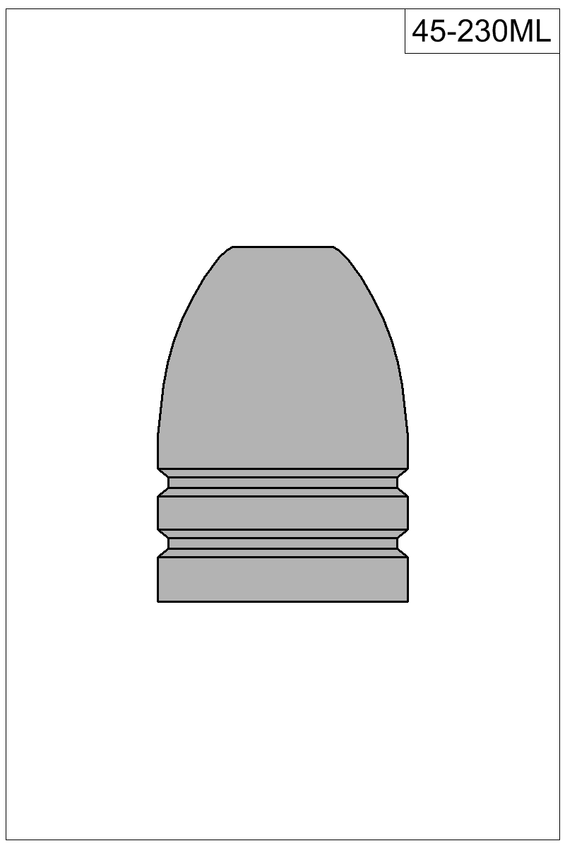 Filled view of bullet 45-230ML