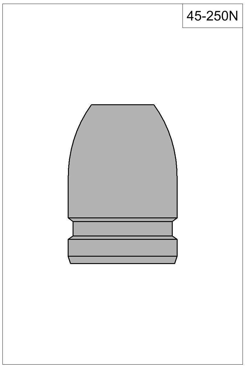 Filled view of bullet 45-250N