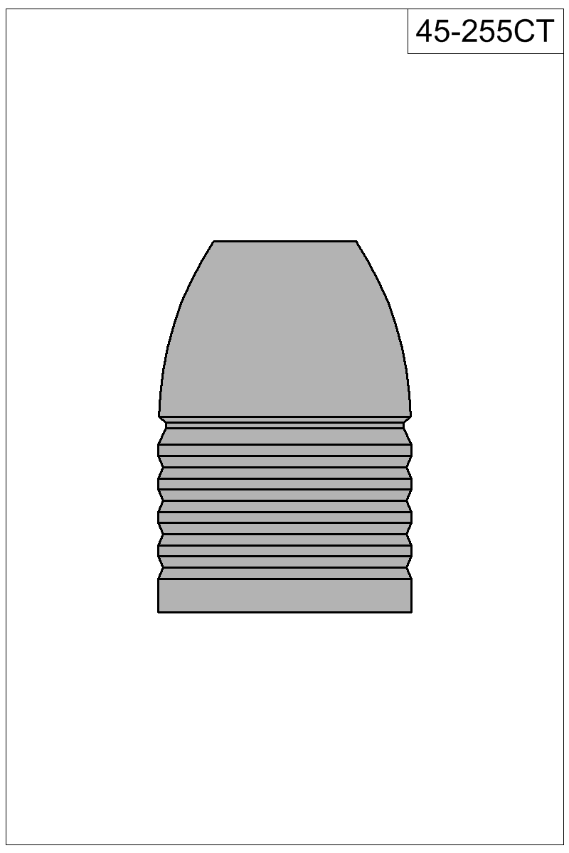 Filled view of bullet 45-255CT