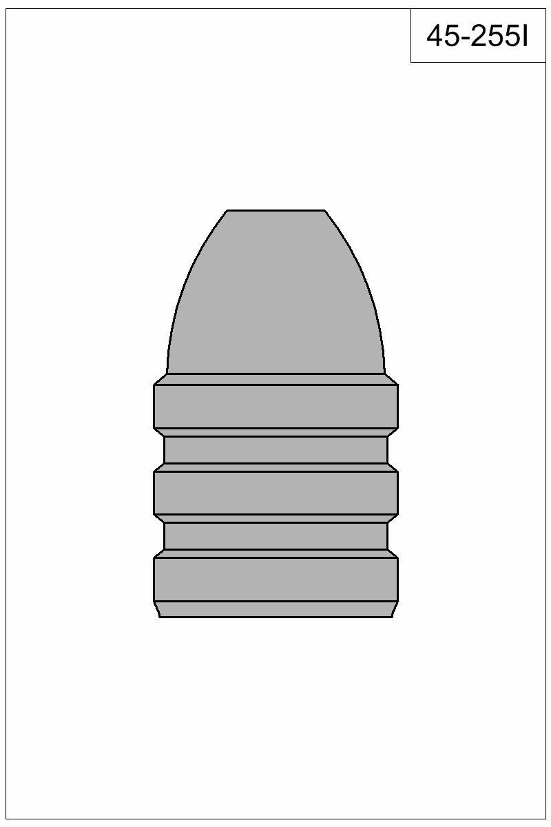 Filled view of bullet 45-255I